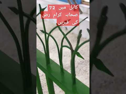 Graveyard of 72 Sahaba e kiram(r. a) of || Shuhada E Saleheen #afghanistan #travel #afghantaliban