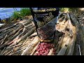 Топчета Hookbaits FilStar Premium Carp Hot Fish 14/18mm