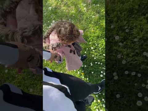 My Sunshine #daughter #flowers #sun