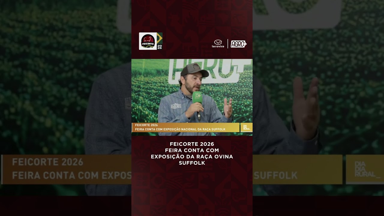 Por que a raça Suffolk é referência na carne ovina?