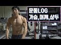 [운동LOG]6개월만에 되찾은 몸무게::근비대 가슴,어깨,삼두루틴::Push day