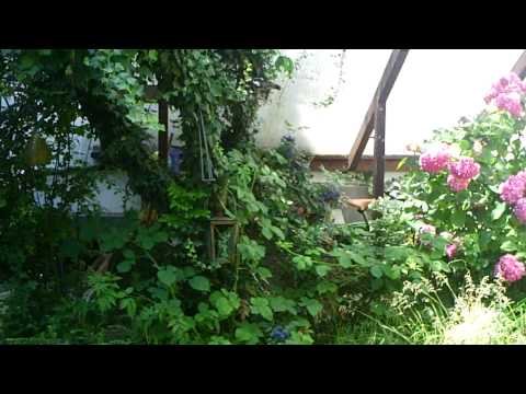 Solinger Hinterhof.AVI