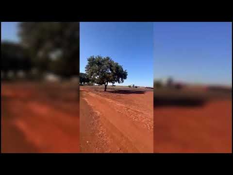 Agroindustrial em Bom Jesus de Goiás-Área:10,9 ha