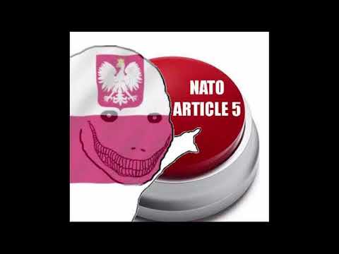 Poland Nato Article 5 meme (Zemsta na wroga)