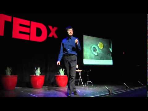 【TEDx】TEDxTucson - Dave Follette - Solar Energy At The Gigawatt Scale