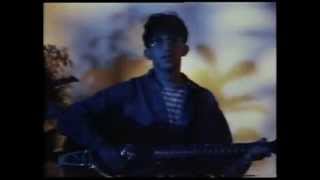 The Lightning Seeds - Pure (1989)