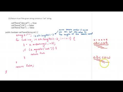 Codingbat Catthere Example