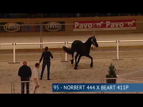 Tweede Bezichting 2017 – Groep 03