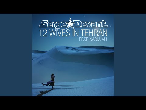12 Wives in Tehran (Zoltan Kontes & Jerome Robins Remix)