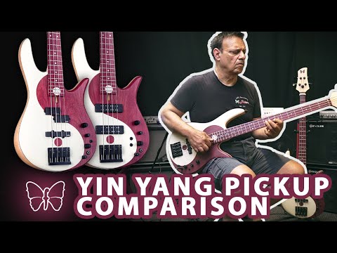 Yin Yang Pickup Comparison! EMG P/J's vs. Seymour Duncan Dual Coils