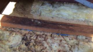Gold fibre glass batts repaired by comfort zone insulation by toping up with cellulose fibre