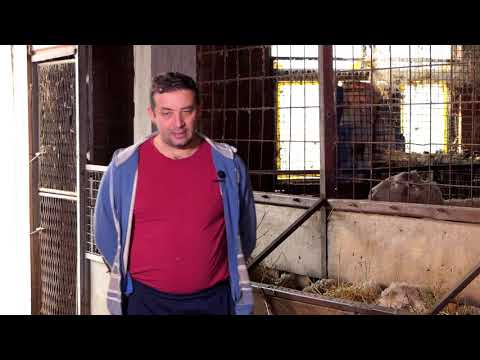 Biram selo ep. 52 - Govedarstvo, Gornja Draguša - 25.12.2019.