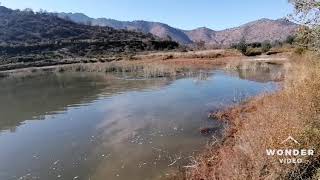 Deutsch Kurzhaar Cora vom Harm-Fei haciendo un cobro ciego en agua