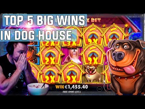 download lagu mp3 mp4 Top Dog Casino, download lagu Top Dog Casino gratis, unduh video klip Top Dog Casino