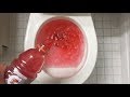 Will It Flush Red Gatorade
