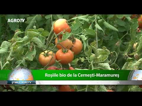 Rosiile bio de la Cernesti Maramures - 26.06.2018