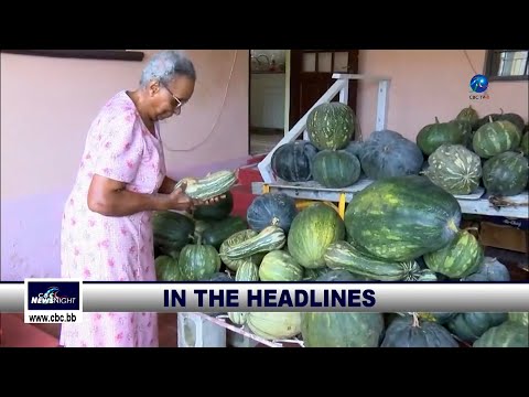 CBC NewsNight November 25 2025