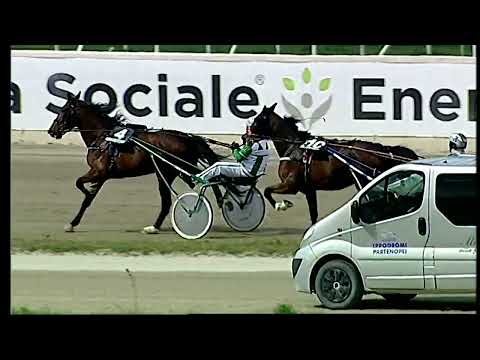 Napoli Trotto 20/03/2022 - 1ª corsa