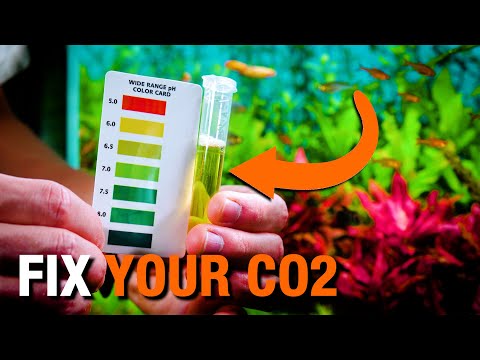 How to Tune CO2 for PERFECT Plant Growth (Beginner Friendly Guide)