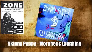 Skinny Puppy - Morpheus Laughing