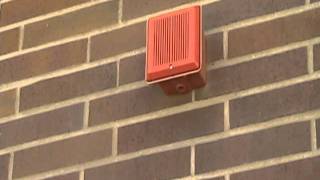 Broken Social Scene - Capture the Flag