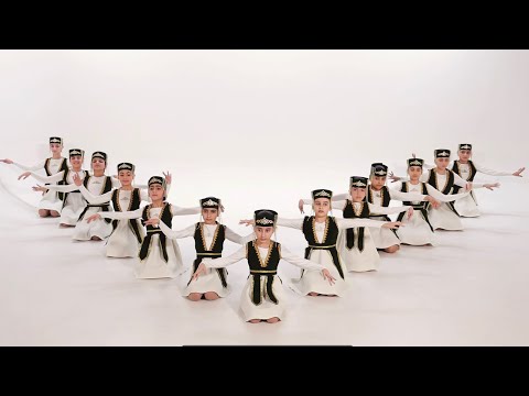 Every Dance 🪩 Karen Sevak - Tsaxkepunj ( Haykakan par)