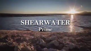 Shearwater - Prime (subtitulo inglés-español)
