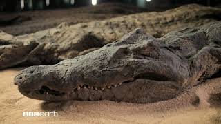 Video trailer för Ancient Egypt's Darkest Hour (30)