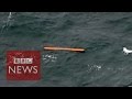 QZ8501 AirAsia: '40 bodies' found in search QZ8501 AirAsia: '40 bodies' found in search