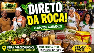 FEIRA AGROECOLÓGICA SURPREENDE EM BRUMADO! 🌱 Produtos Direto da Roça e Histórias Inspiradoras