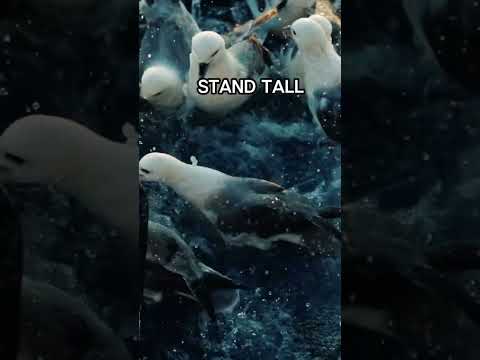 Stand Strong: Turn Struggles into Strength