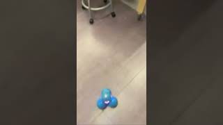 KEALAULA BUILT A ROBOT 2023