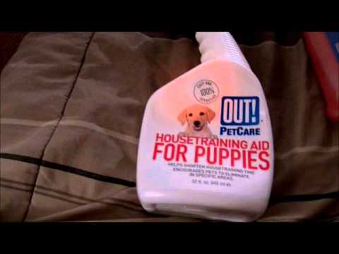 My favorite things - Vloguary! - February 6~7, 2013