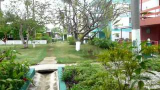 preview picture of video 'Negril beach club Woogo Standard garden'