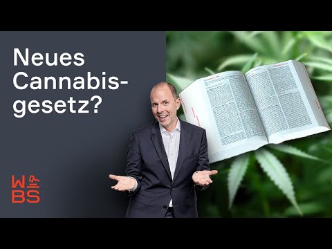 Legal kiffen schon 2023? Lauterbach präsentiert 84 Seiten Cannabis-Gesetz! | Christian Solmecke