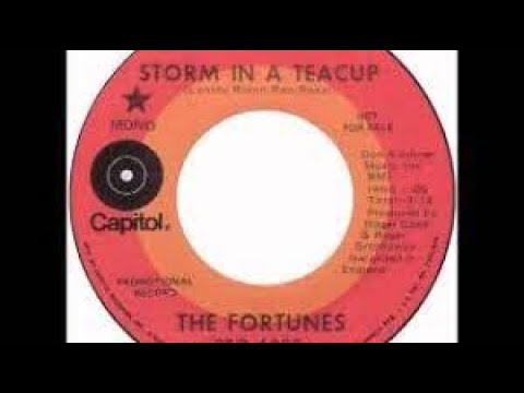 The Fortunes Storm In A Teacup Lyrics