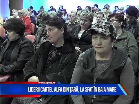 LIDERII CARTEL ALFA DIN ȚARĂ, LA SFAT ÎN BAIA MARE