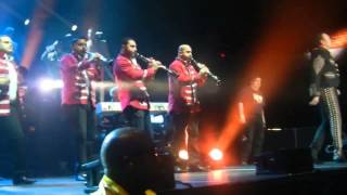 Pepe Aguilar - El Toro Viejo