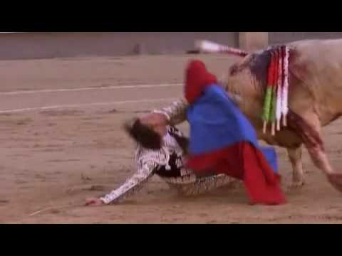 Toro vs Matador