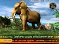 SVBC TTD Srivainateyam Ep 11 09 01 16