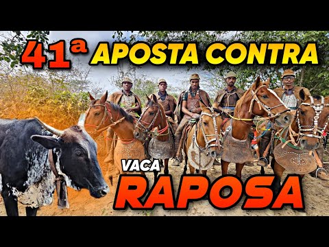 VAQUEIROS DE ITACURUBA CONTRA O GADO DOS HONORATO
