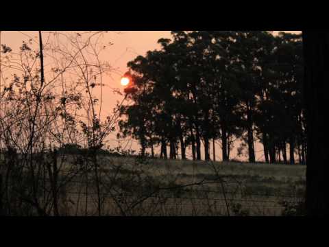 Soft-spoken reading of 'A Warning to the Curious' by M.R. James