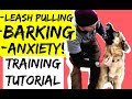 How to Train a Leash Pulling Aggressive Anxious German Shepherd Dog with a Prong Collar