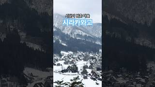 시라카와고, 시간이 멈춘 마을  #다카야마 #호치민주부 #나고야여행