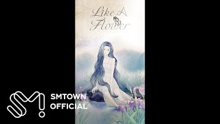 Download lagu IRENE 아이린 'Like A Flower' Hint Clip mp3 Download lagu IRENE 아이린 'Like A Flower' Hint Clip mp3