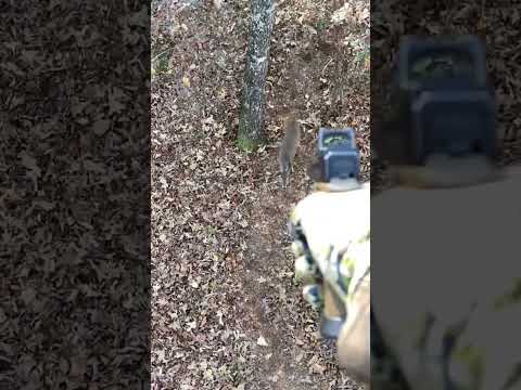 Pistol Headshot Whitetail - Zev 9mm #huntingshorts #shortsfeed