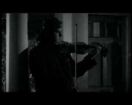 Captain Stu & The Llamas - The Curse