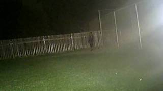 Back Flips by Ashley Douglas