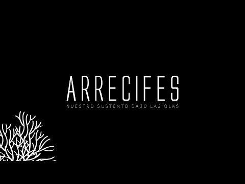#FIAES | ARRECIFES - Nuestro sustento bajo las olas (Capítulo 1)