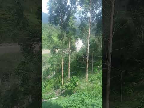 Paisaje en San Bernardo de Bata -Toledo - Norte de Santander